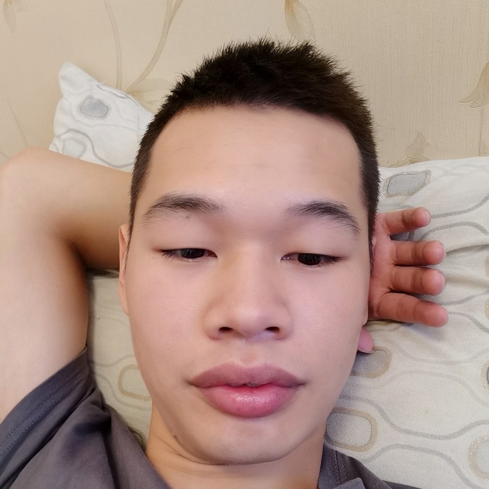 邻居家的猫的照片