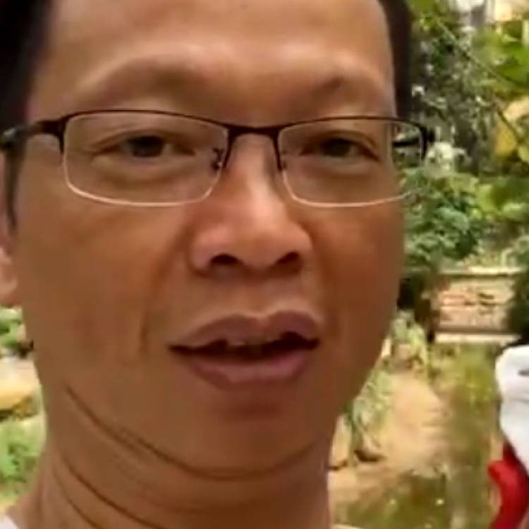 茶艺书法的照片