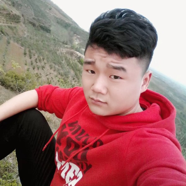 机灵爱恋玫瑰的照片