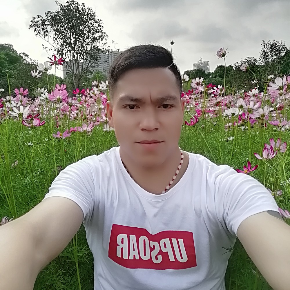 老实爱仙人掌的照片