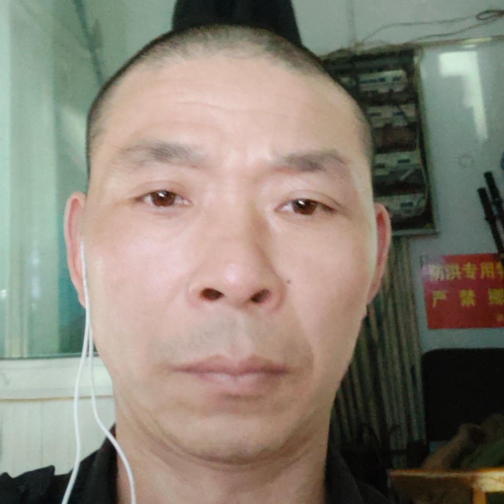 朴实倾心白猫的照片
