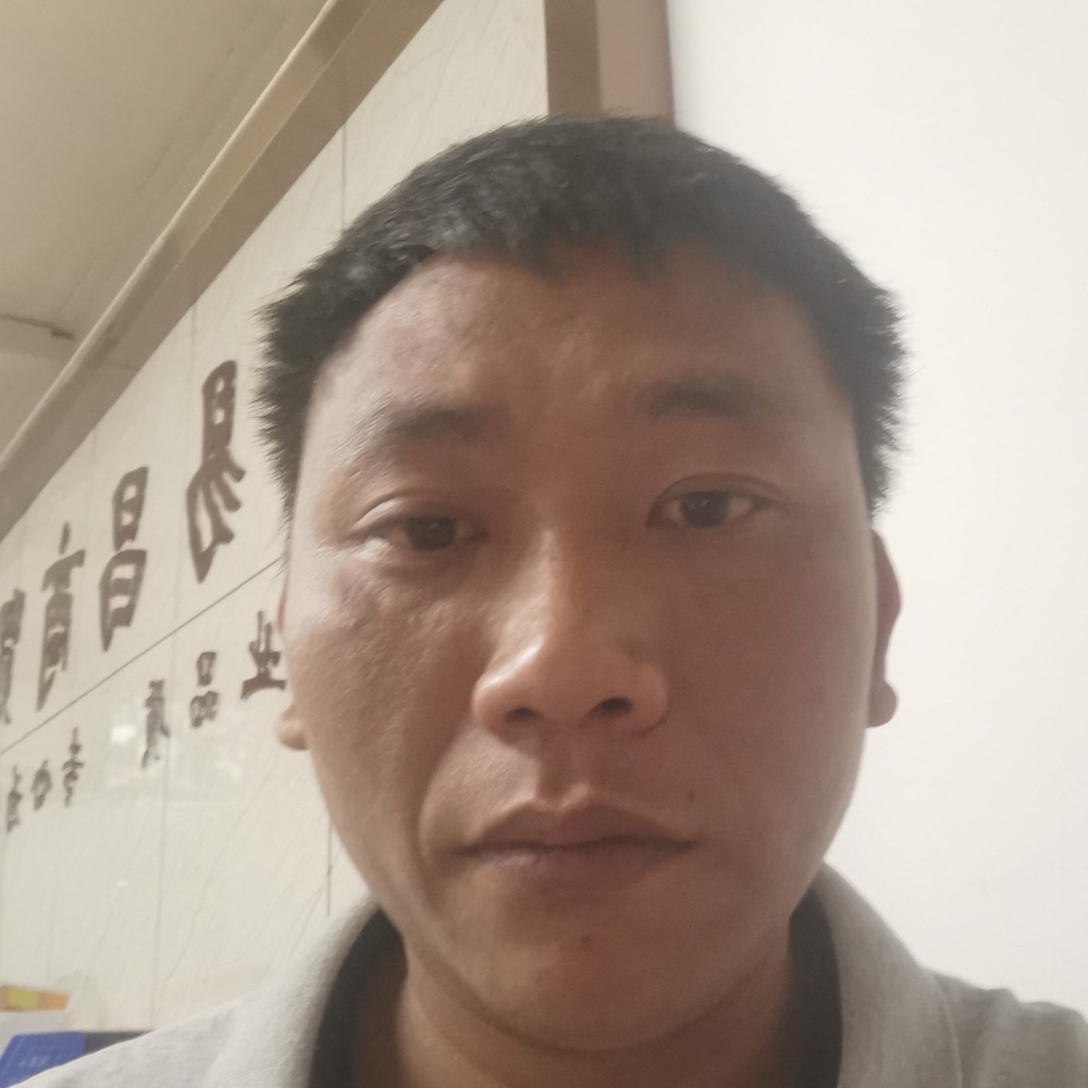 光亮回首白猫的照片