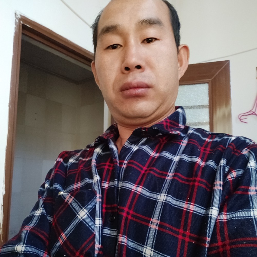 孤独的人生狼性的照片
