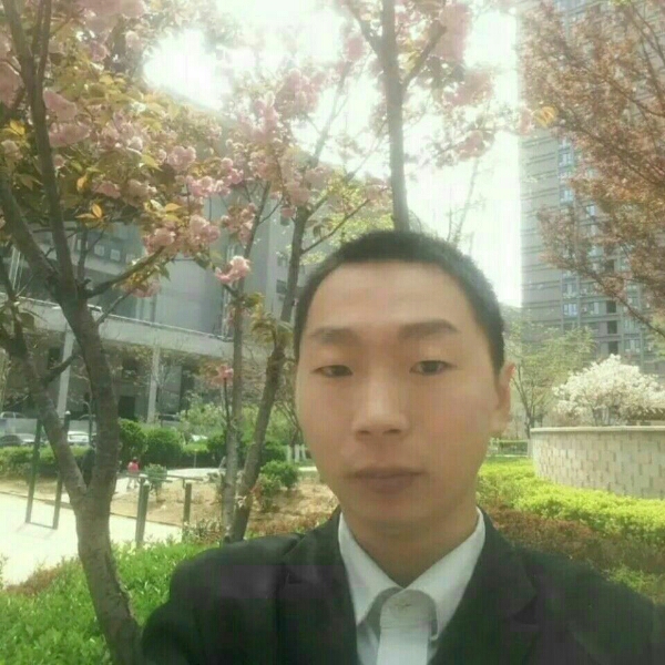 王者12的照片