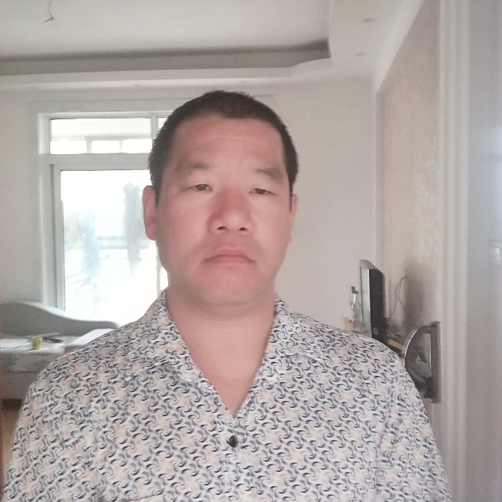 迷人老鼠的照片