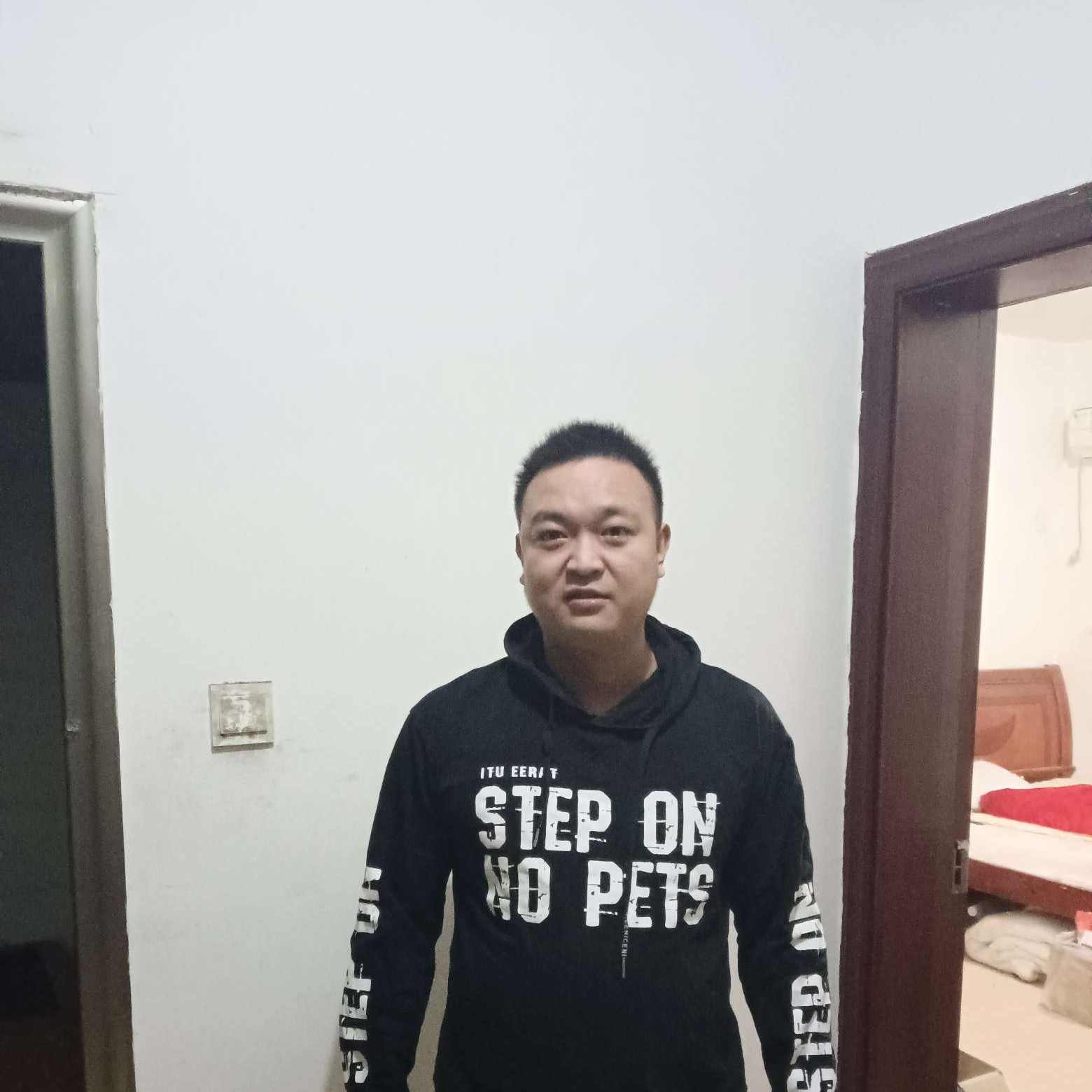 汉堡演变虚拟的照片