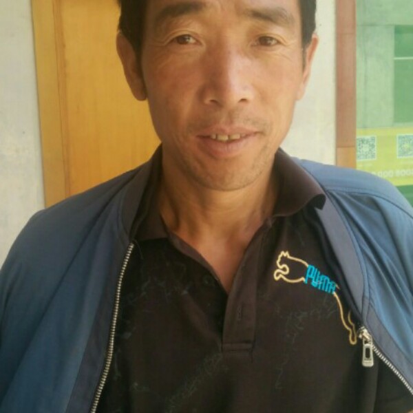 灵巧等待白猫小号的照片