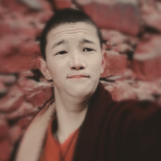 沈观严的照片