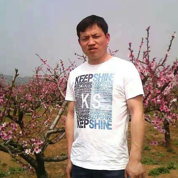 雨中坏人的照片