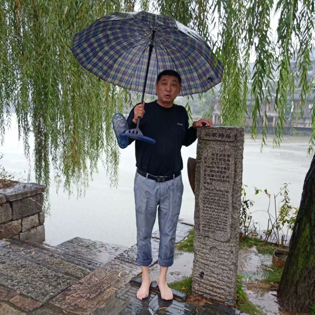 和谐等于向日葵的照片