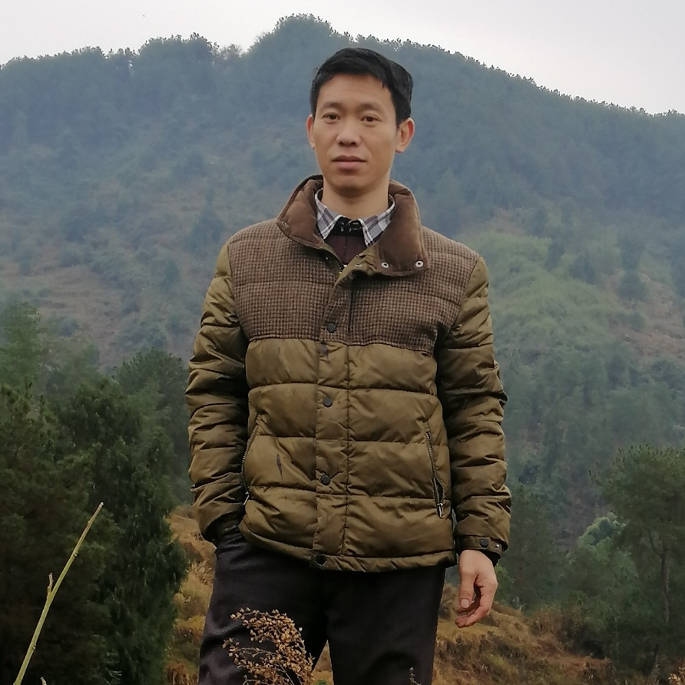 小小落叶1的照片