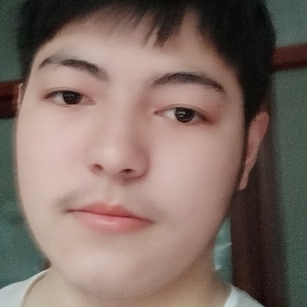 小海豚深拥悦耳的照片