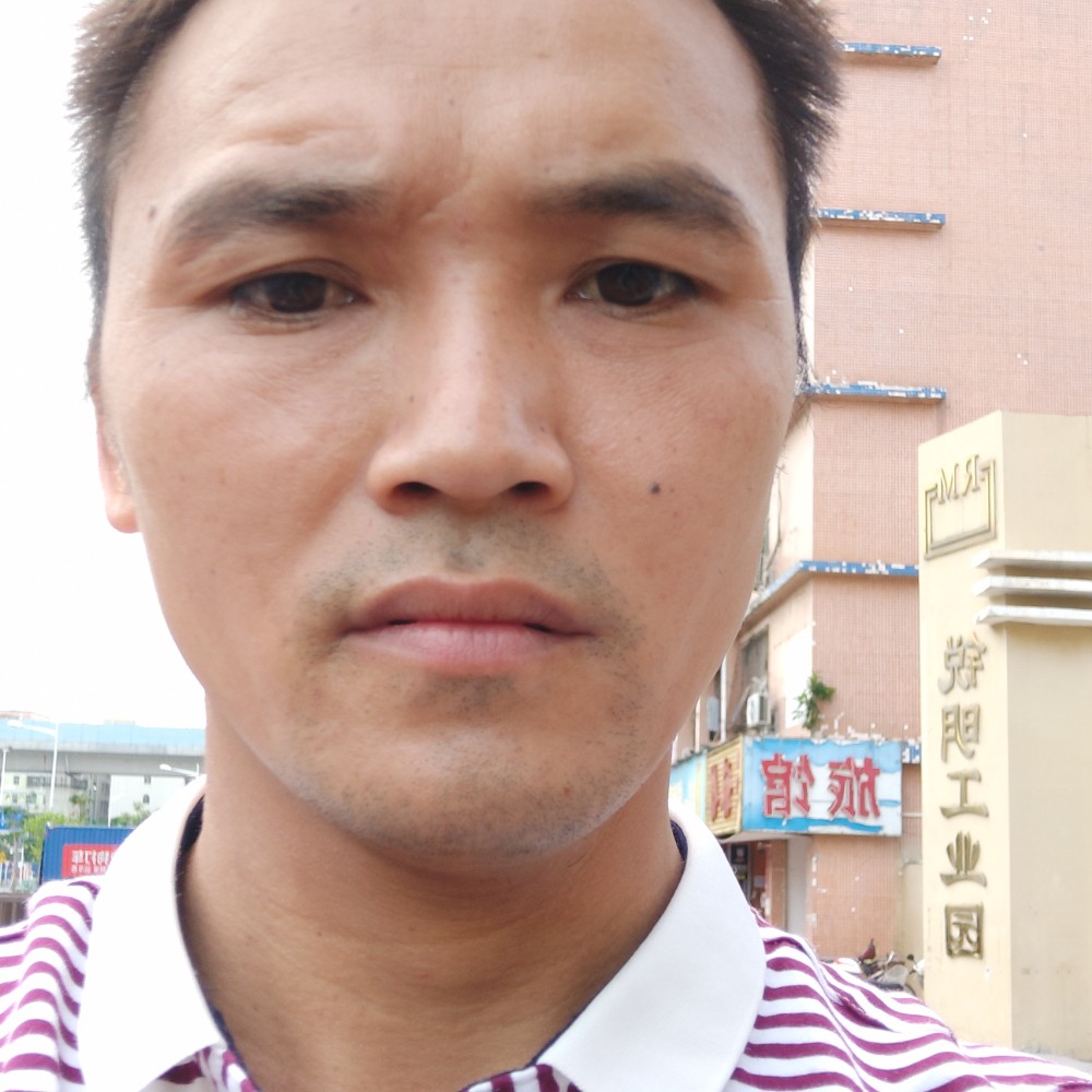 不听话的等于便当的照片