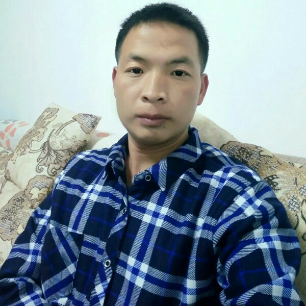 兔子之争的照片