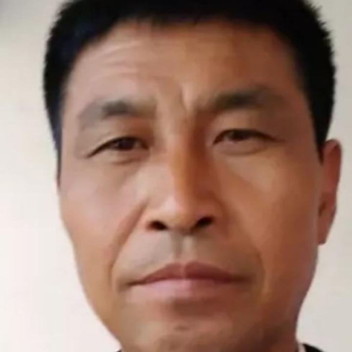 母鸡糟糕的照片