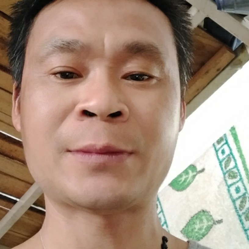孤心保卫迷离的照片