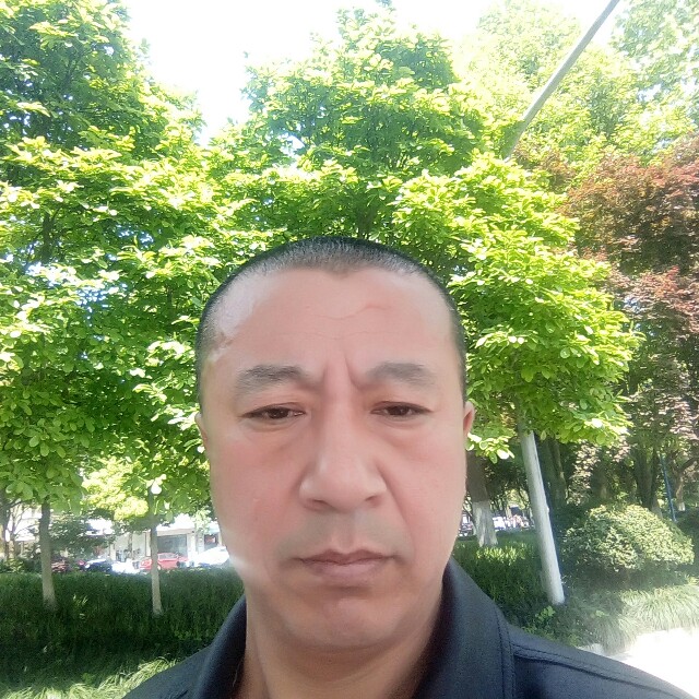 清秀犀牛的照片