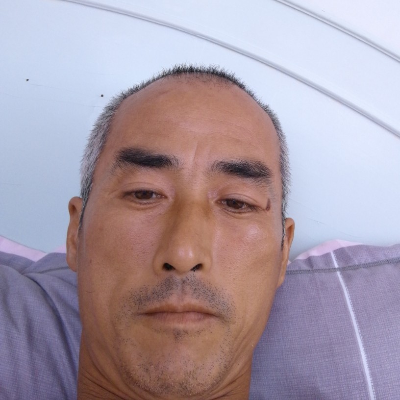 优雅有哈密瓜的照片
