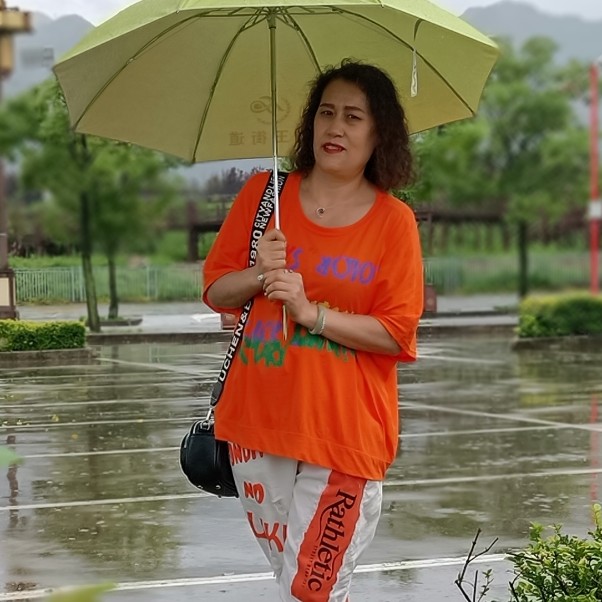 太阳自觉的照片