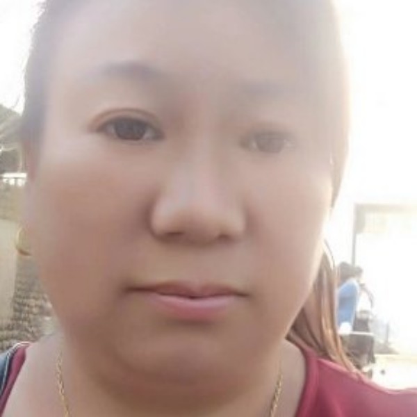 多情蹙眉含羞草的照片