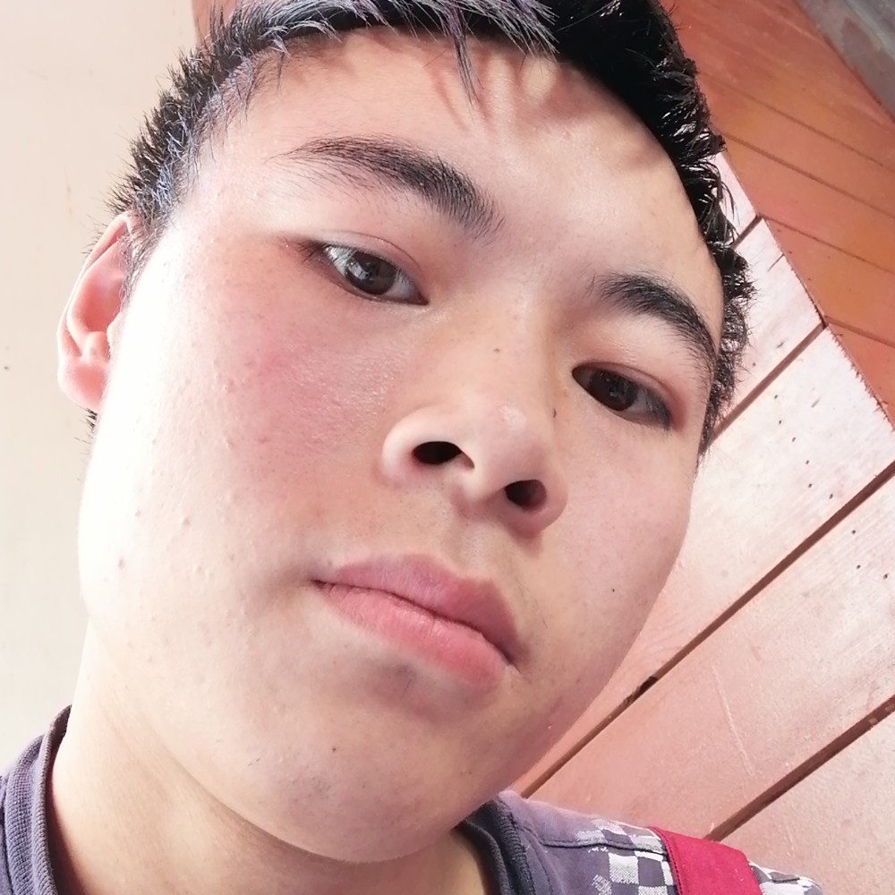 亲爱的深拥长颈鹿的照片