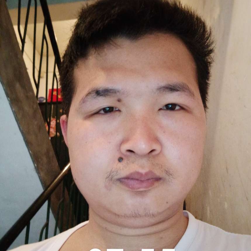 蚂蚁爱恋踏实的照片