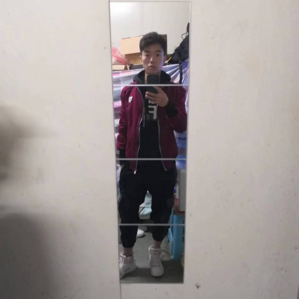 春天的蓬勃的照片