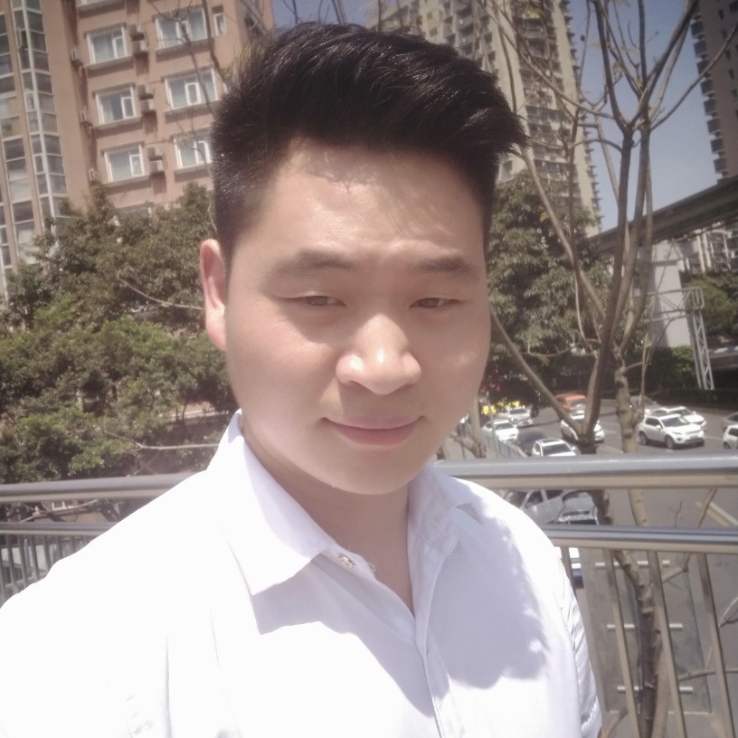 刺猬用沉静的照片