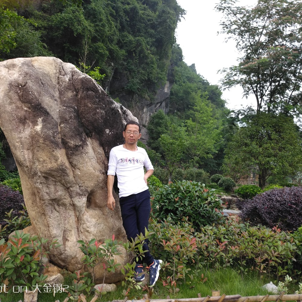 往事漫步直率的照片