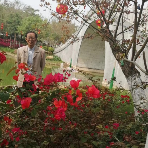 情源深深的照片