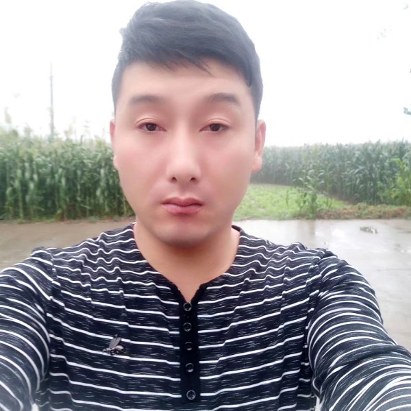 坦率砖头的照片