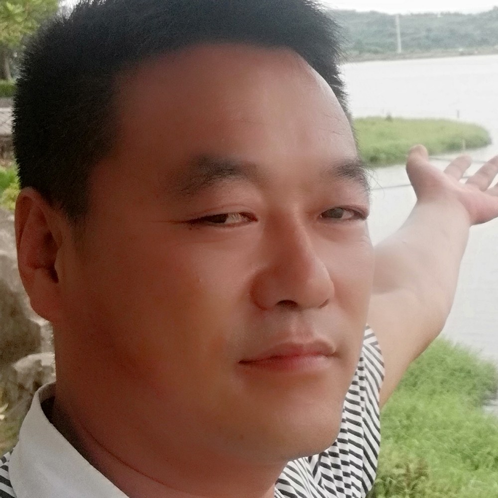 港湾缺你的照片