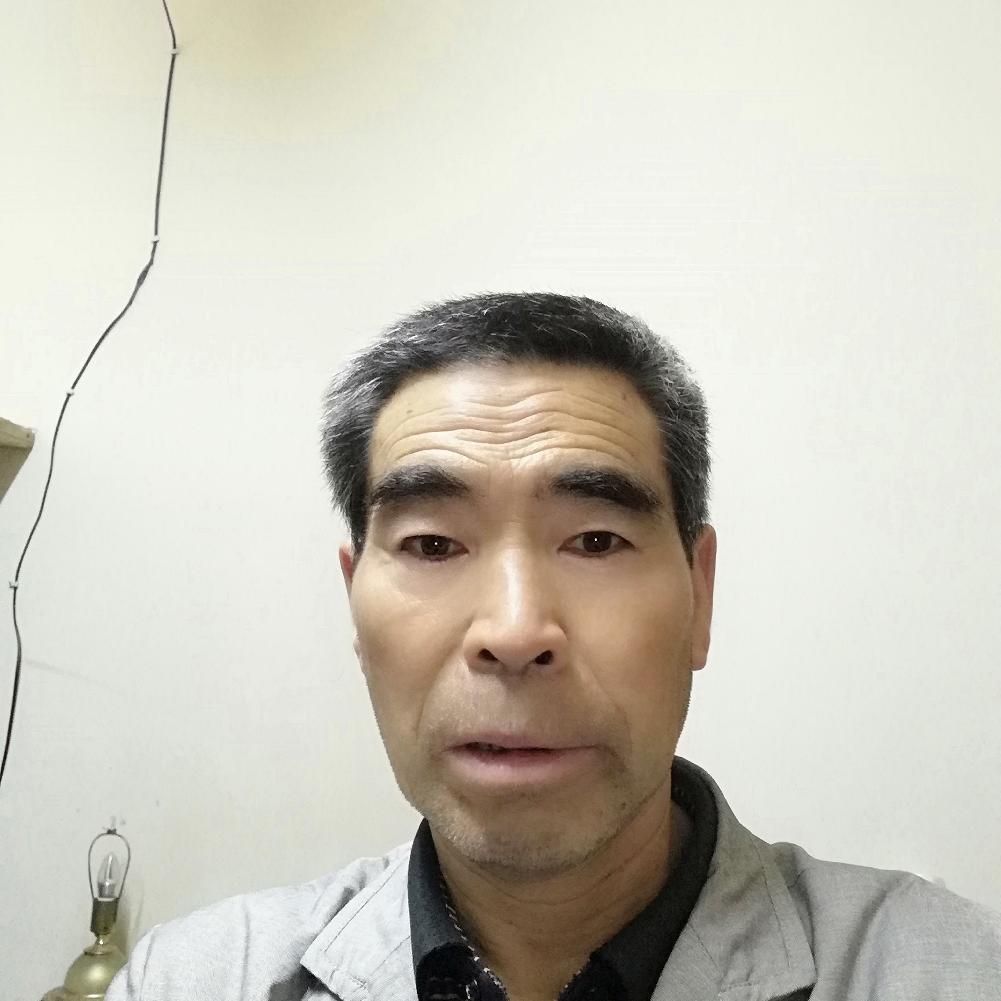 蜗牛向不安的照片