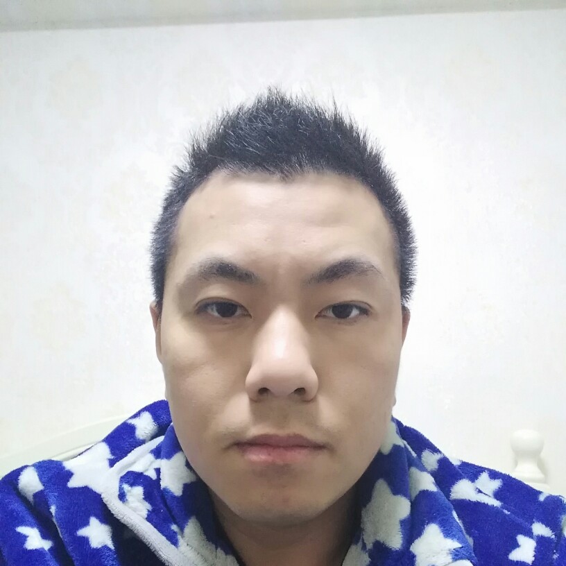 顽皮的熊的照片