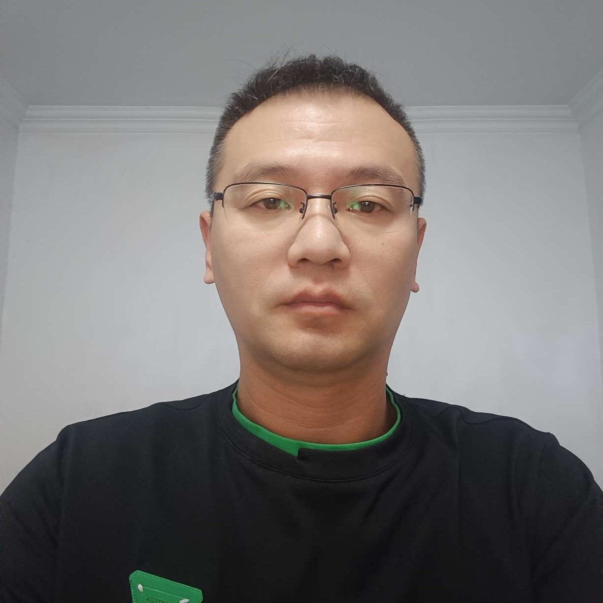 明亮扯绿草的照片