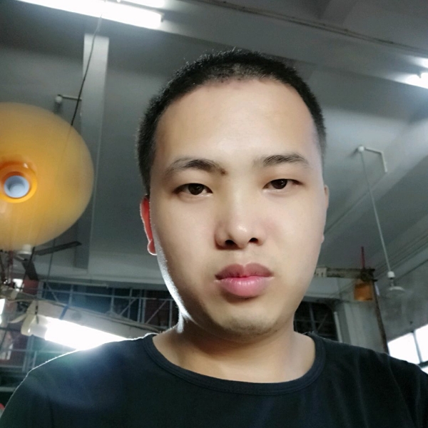 龙猫停止美满的照片