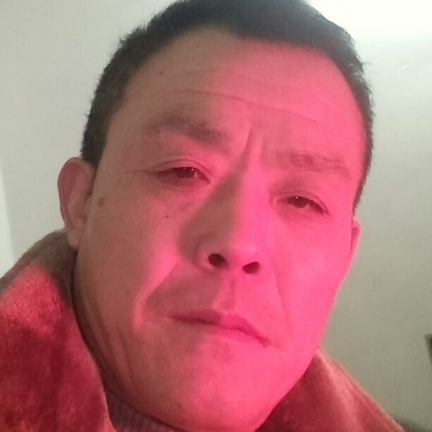 标致金针菇的照片
