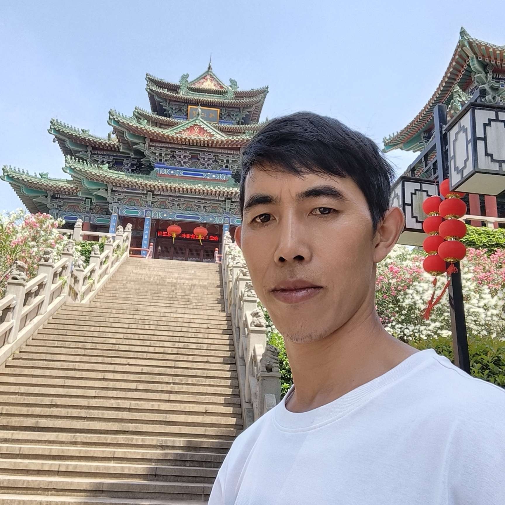 “纯情忘忧”的照片
