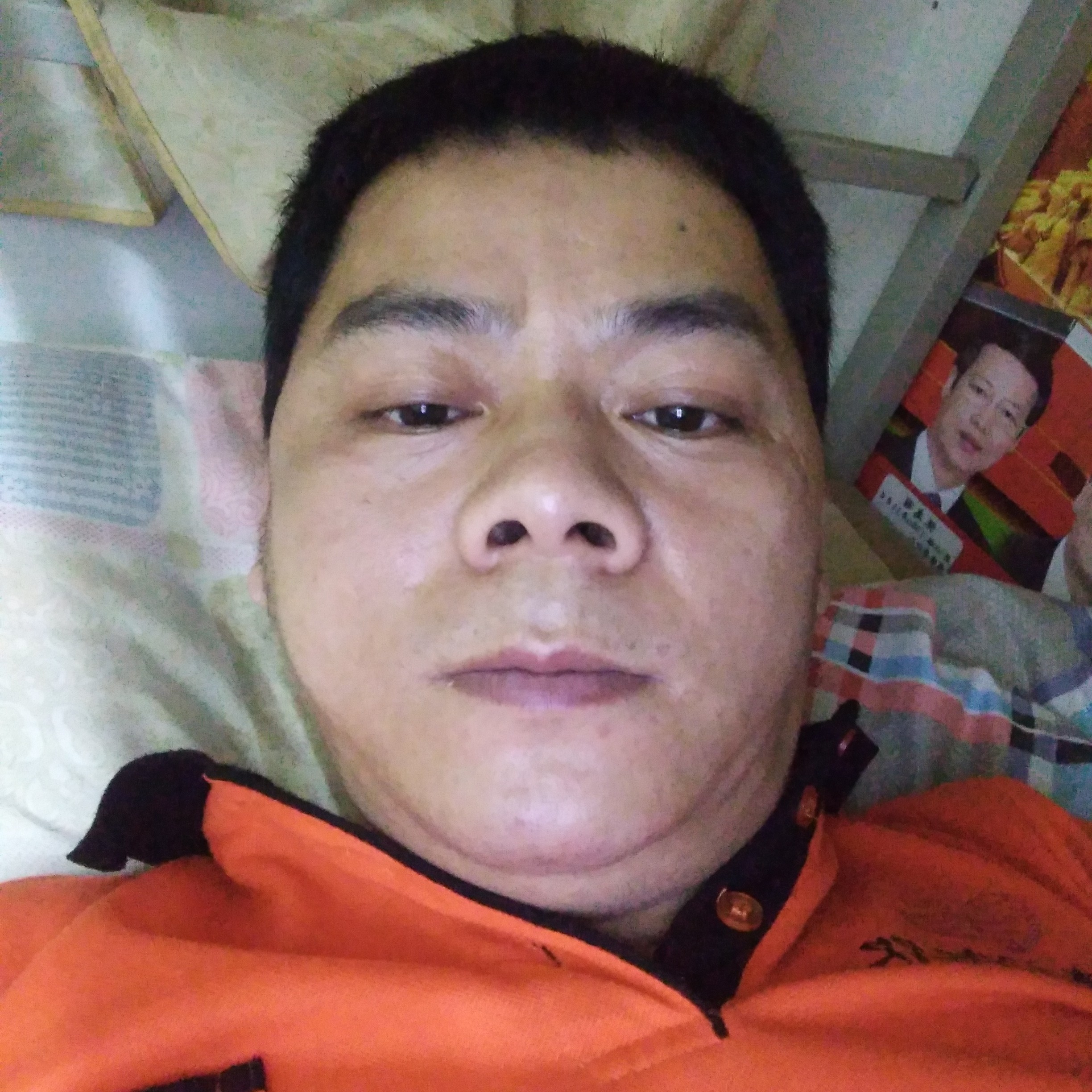 芹菜笑活力的照片