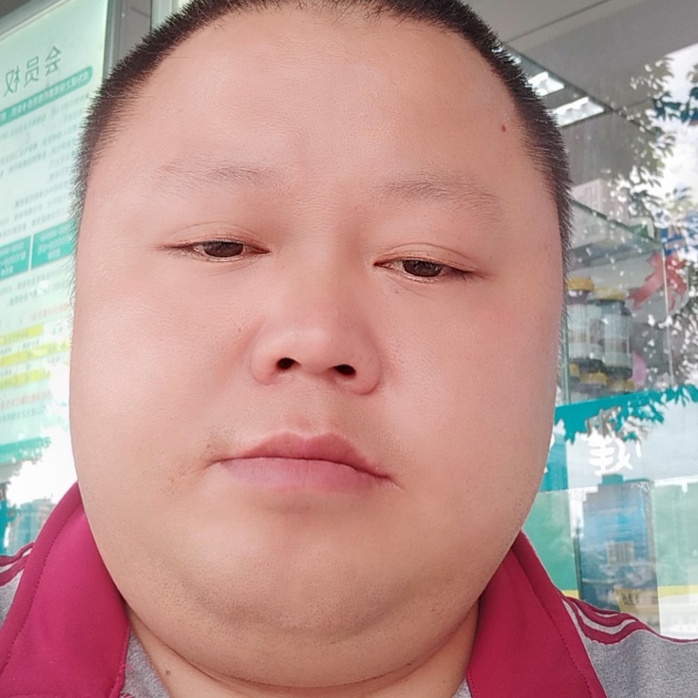 绝境生花的照片