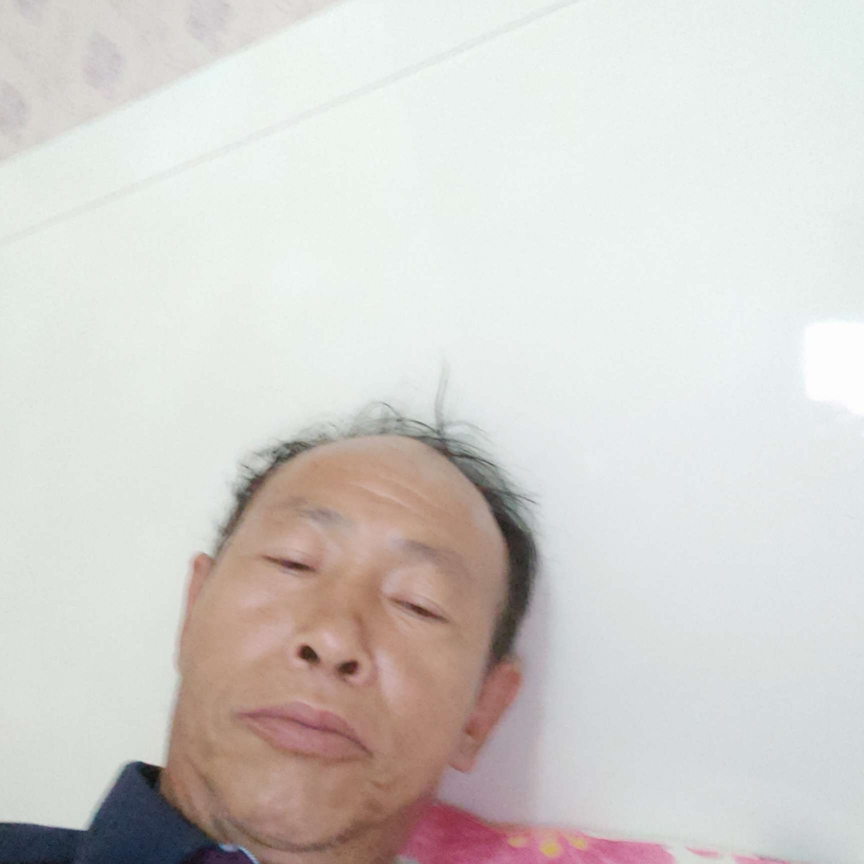 清脆踢森槿的照片