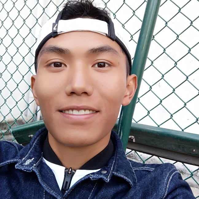 清秀的小熊猫的照片