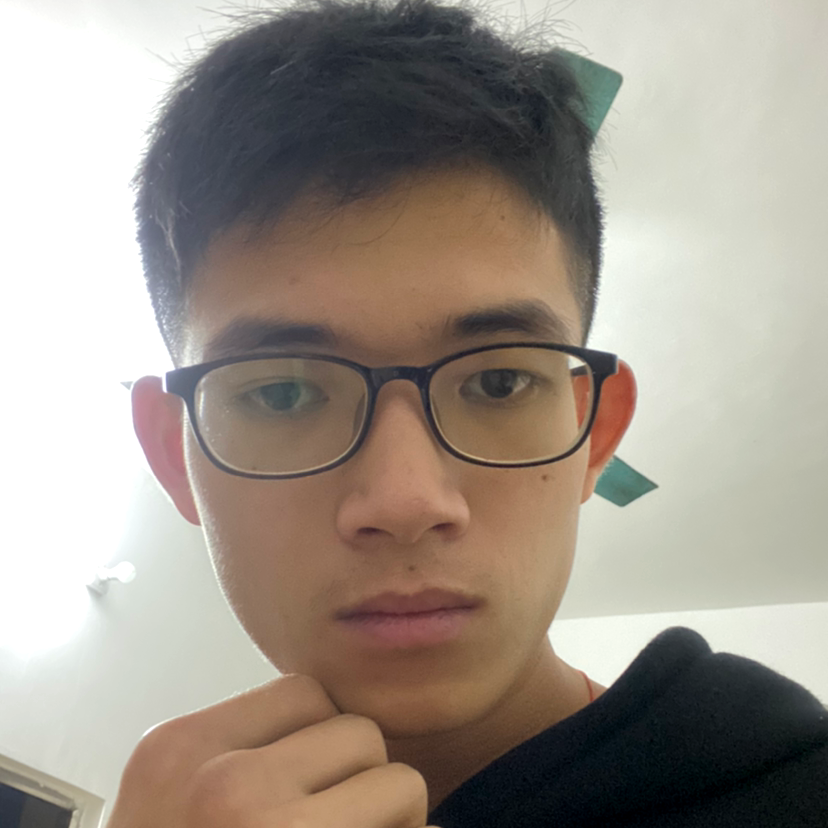 老鼠的稳重的照片