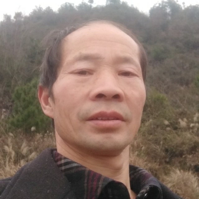 会员118393936的照片