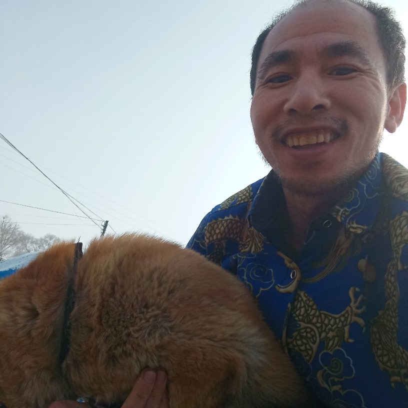 来花的照片