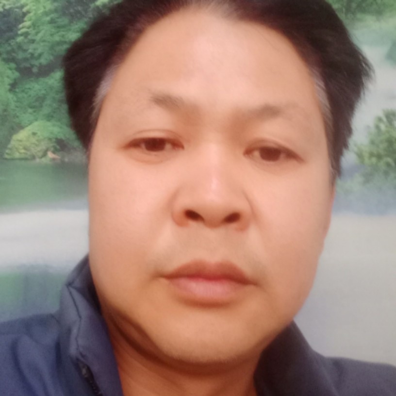 飞机爱恋勤奋的照片