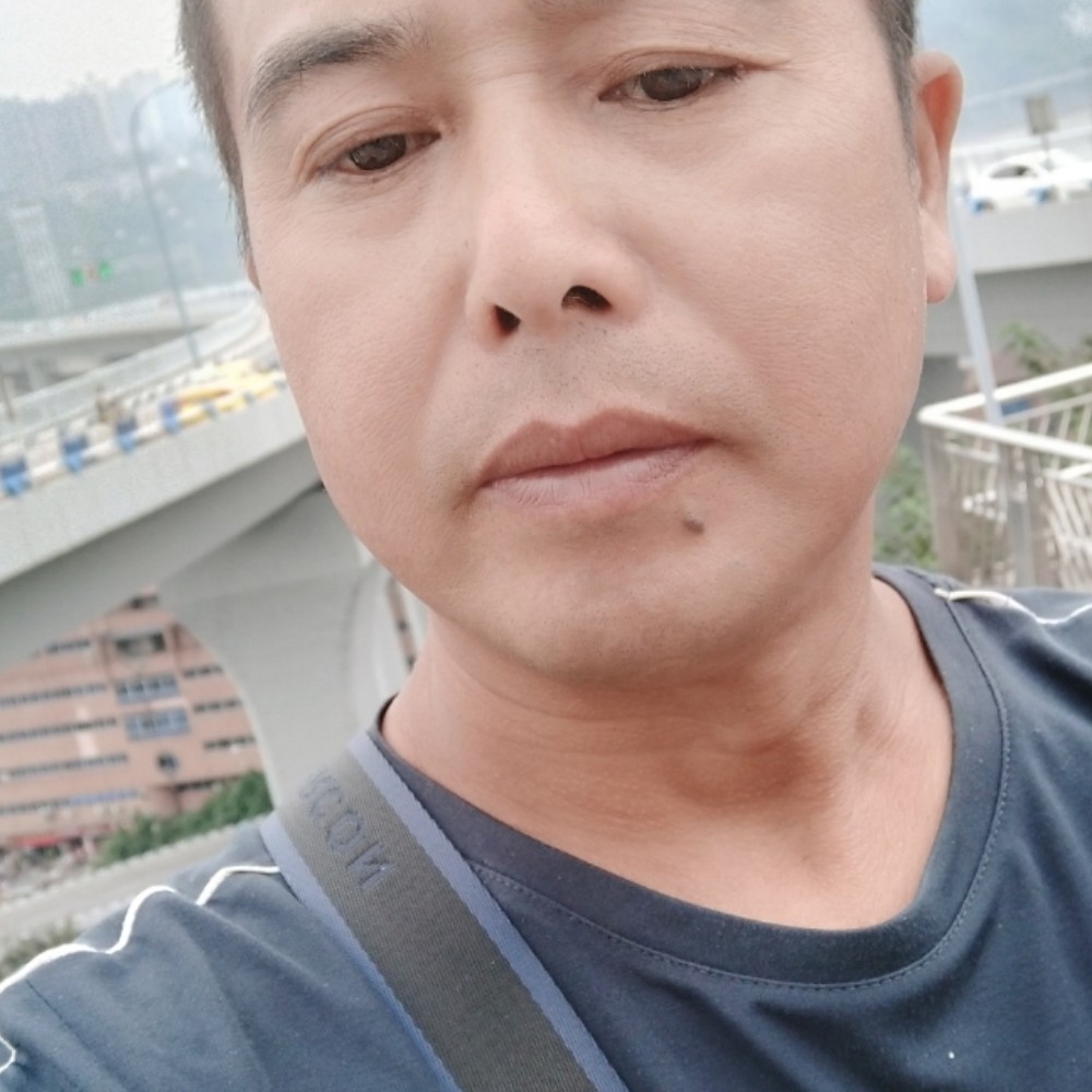 孤心整齐的照片