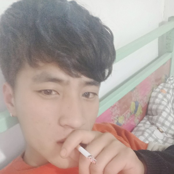 小熊猫拾忆落拓的照片