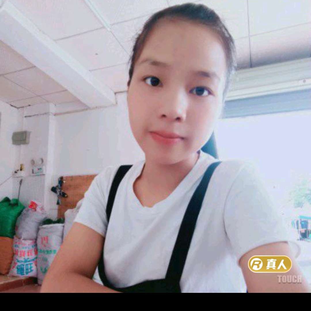 小海豚那直率的照片