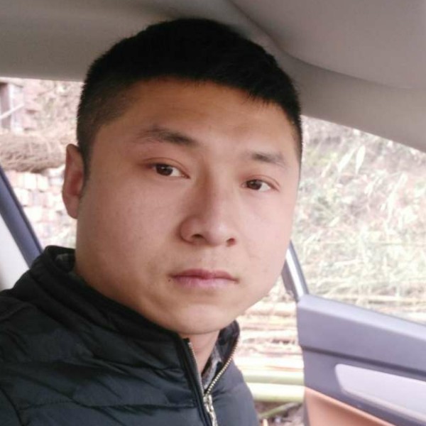 蜗牛错落的照片